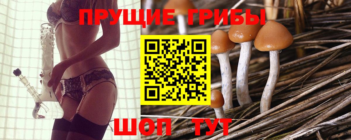 Псилоцибиновые грибы мухоморы Бузулук