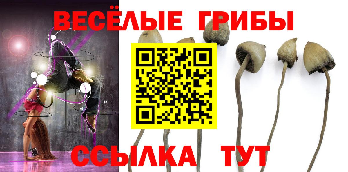 Псилоцибиновые грибы MAGIC MUSHROOMS  Вход с VPN  Бузулук  Галлюциногенные грибы ЛСД 